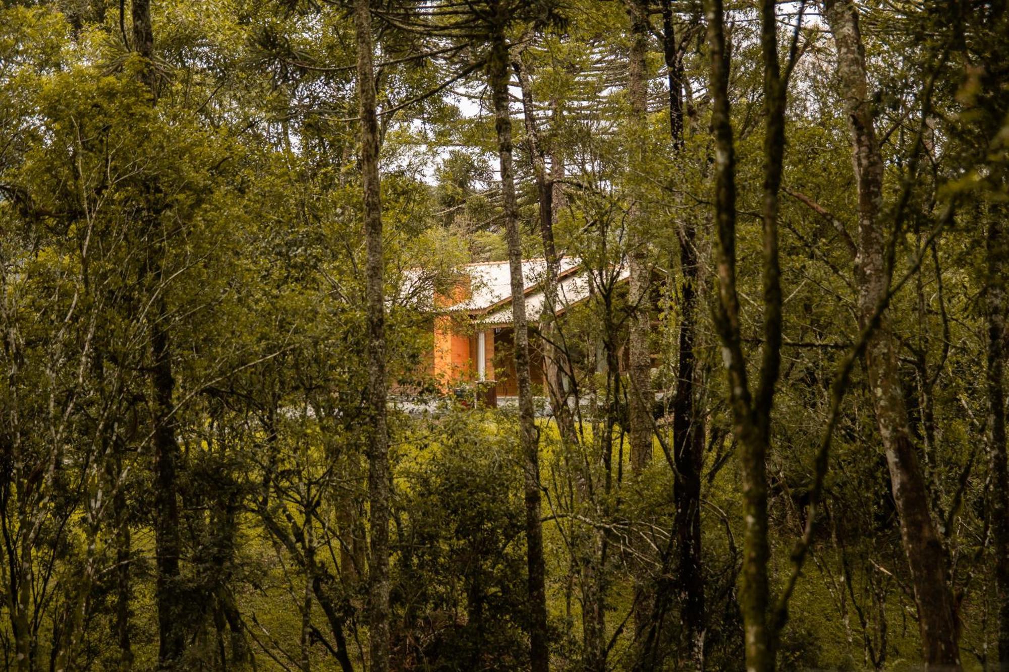 Cabana Com Hidromassagem Bom Retiro  Exteriör bild