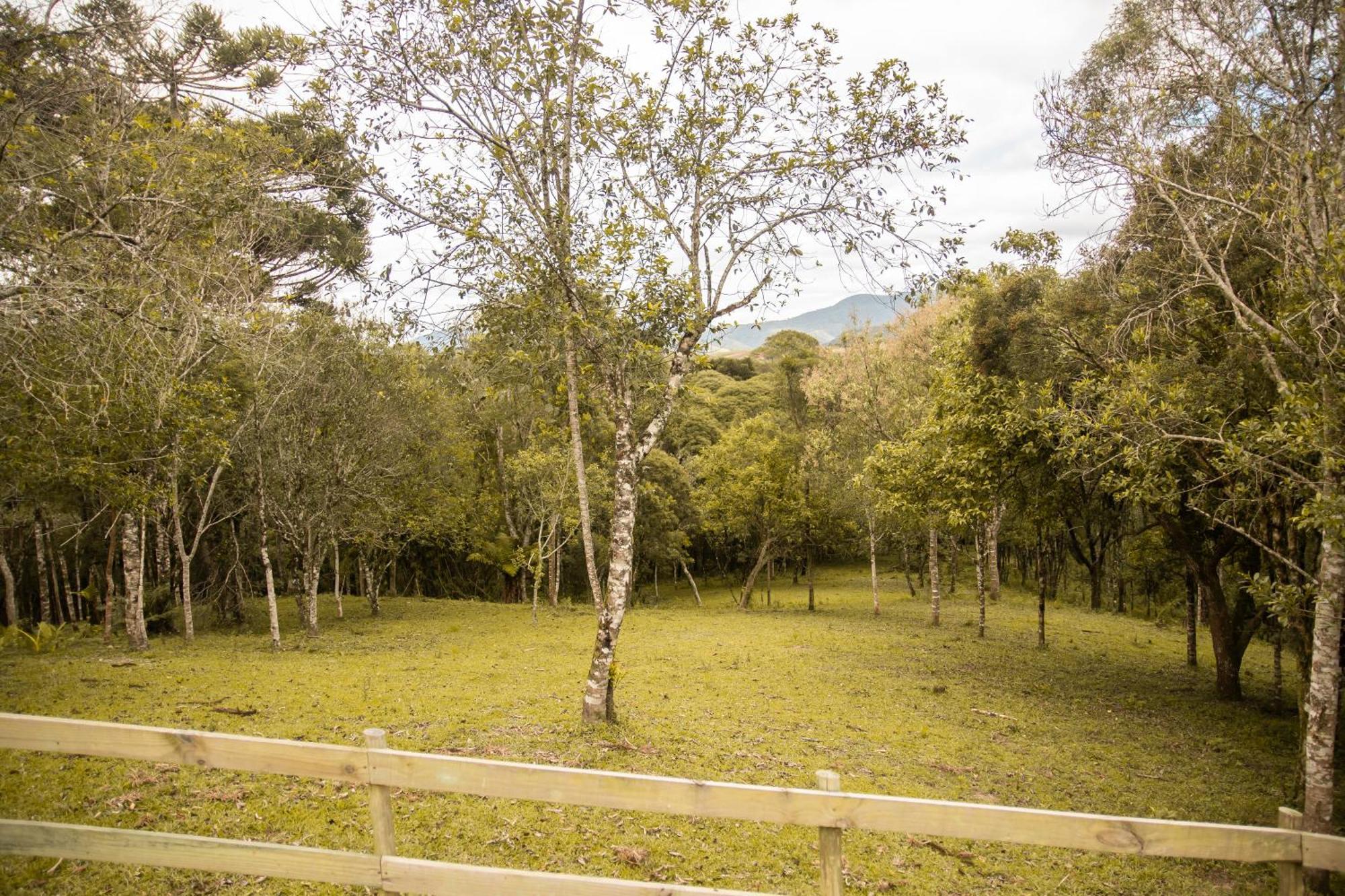 Cabana Com Hidromassagem Bom Retiro  Exteriör bild